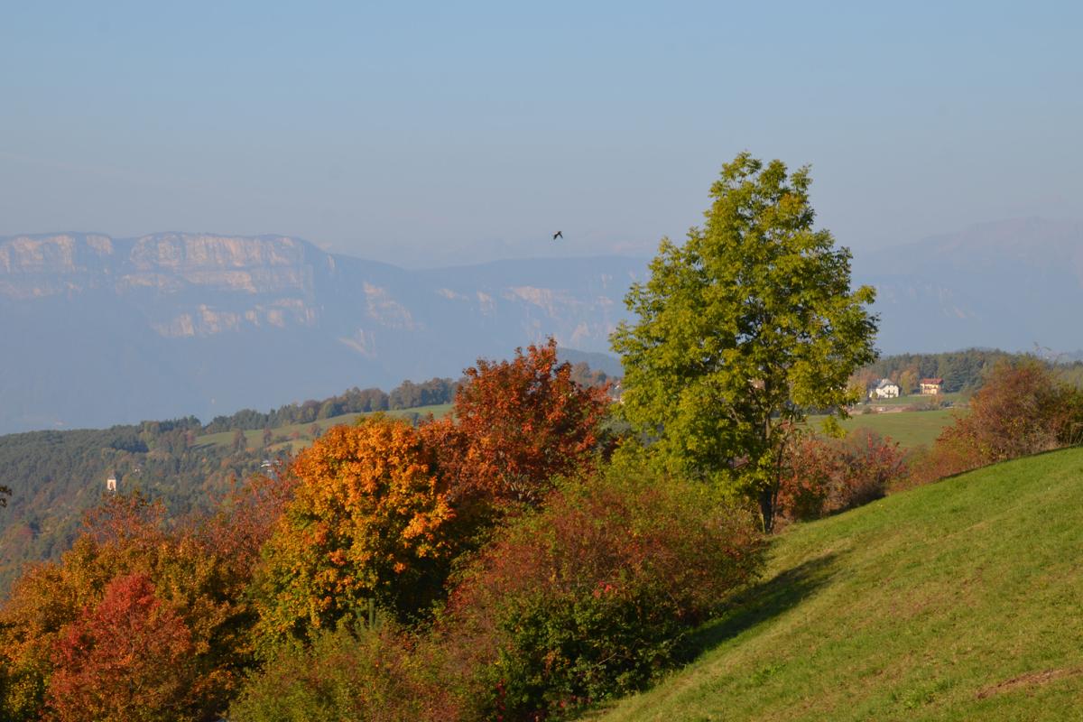 Zunerhof 17.10.2018